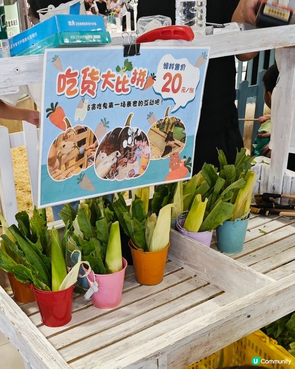 行商場、涼住冷氣!
親親動物餵食😍