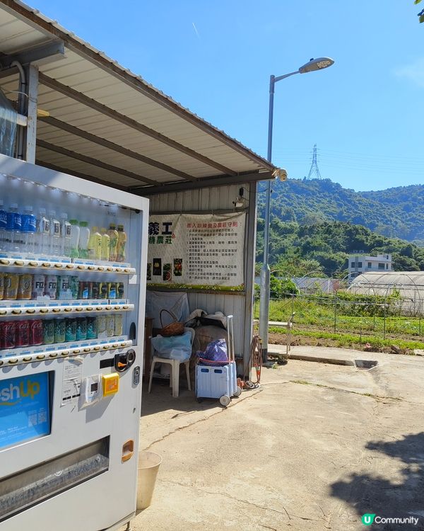 自耕自樂！假日去邊玩？有冇認過農莊？