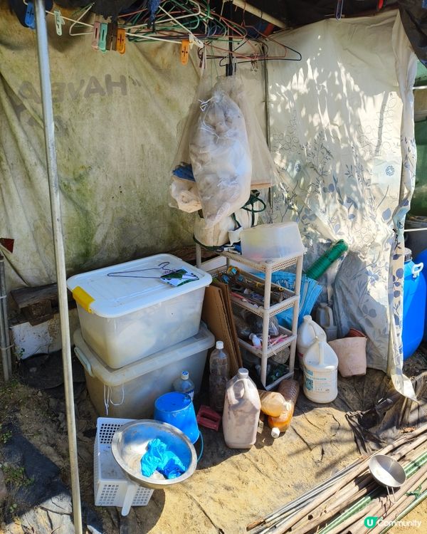 自耕自樂！假日去邊玩？有冇認過農莊？