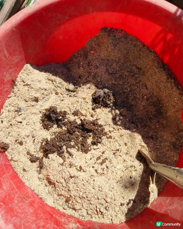 自耕自樂！假日去邊玩？有冇認過農莊？