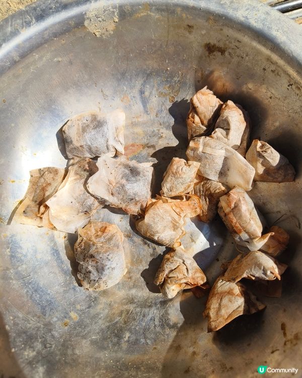 自耕自樂！假日去邊玩？有冇認過農莊？