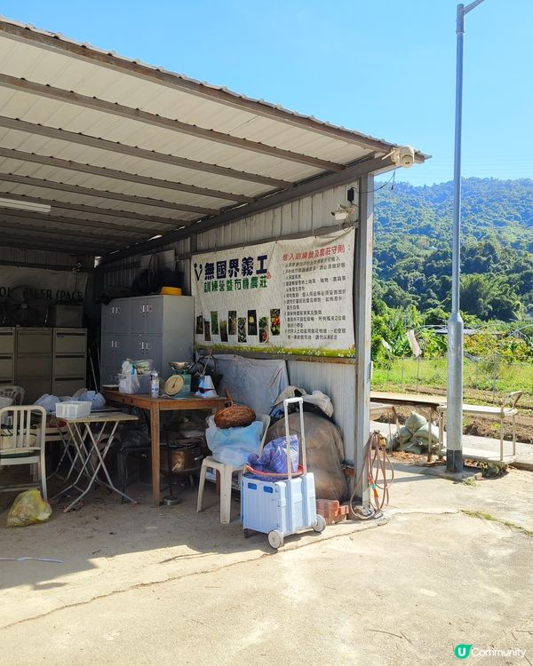 自耕自樂！假日去邊玩？有冇認過農莊？