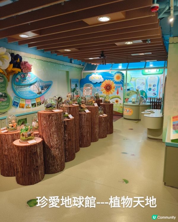 挪亞方舟之珍愛地球館，你去過嗎？