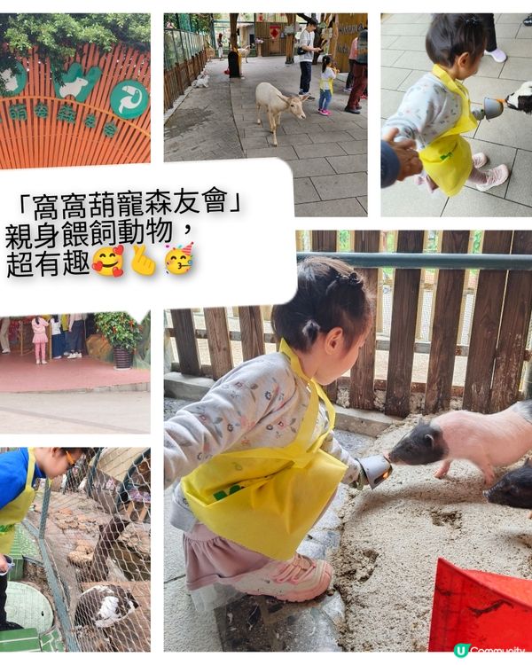 「世界之窗」像主題公園