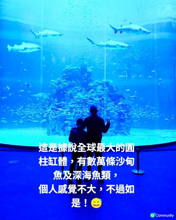 深圳海洋世界