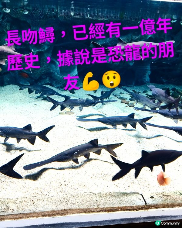 深圳海洋世界