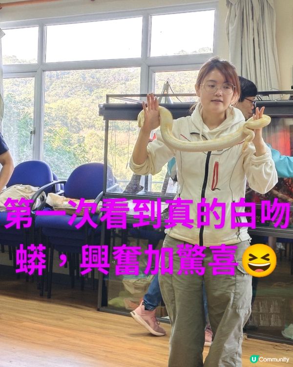 每一隻動物都有牠們的故事---嘉道理農場暨植物園