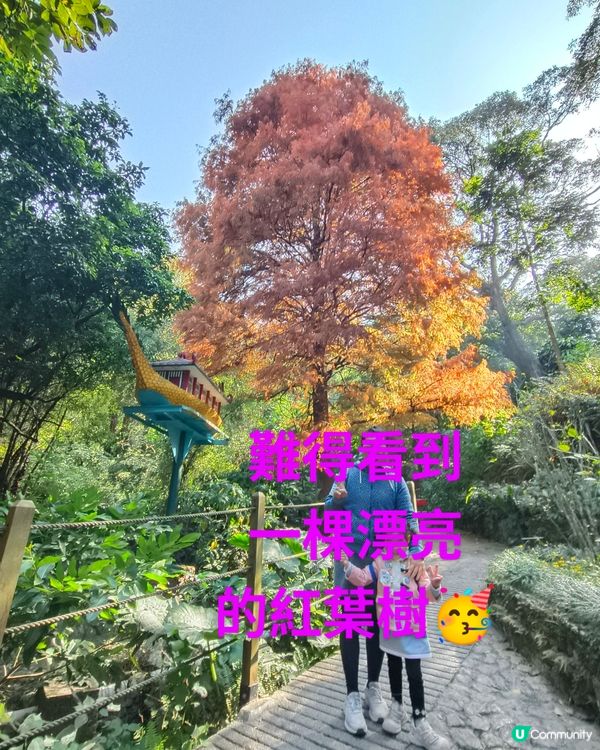 每一隻動物都有牠們的故事---嘉道理農場暨植物園