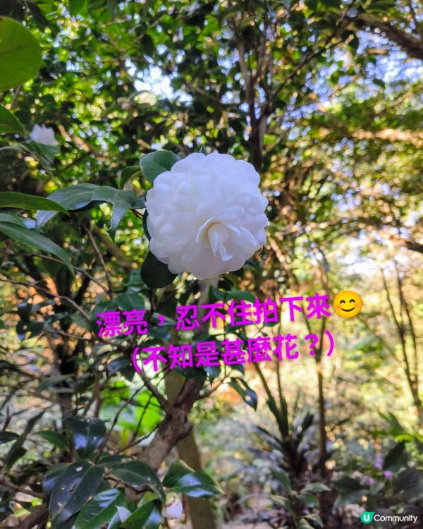 每一隻動物都有牠們的故事---嘉道理農場暨植物園