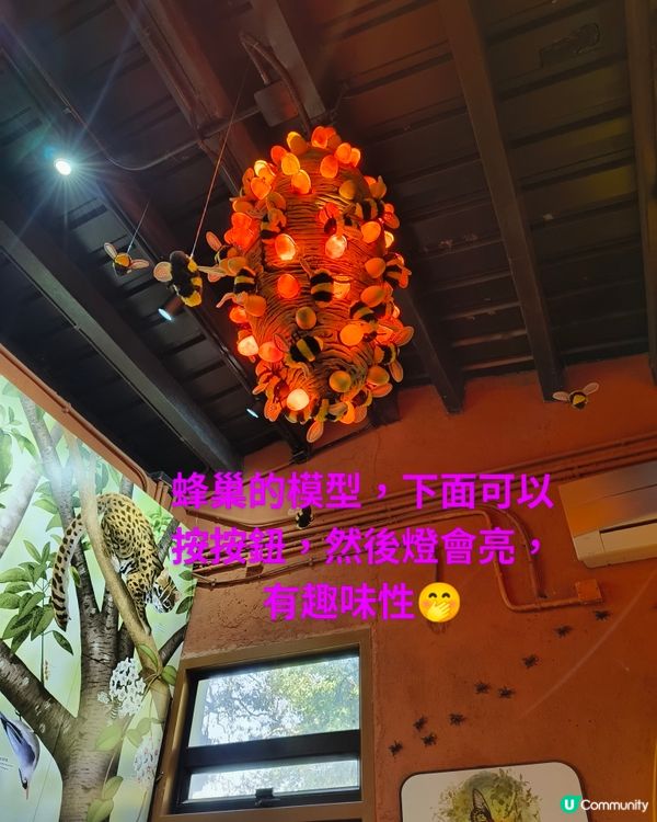 每一隻動物都有牠們的故事---嘉道理農場暨植物園