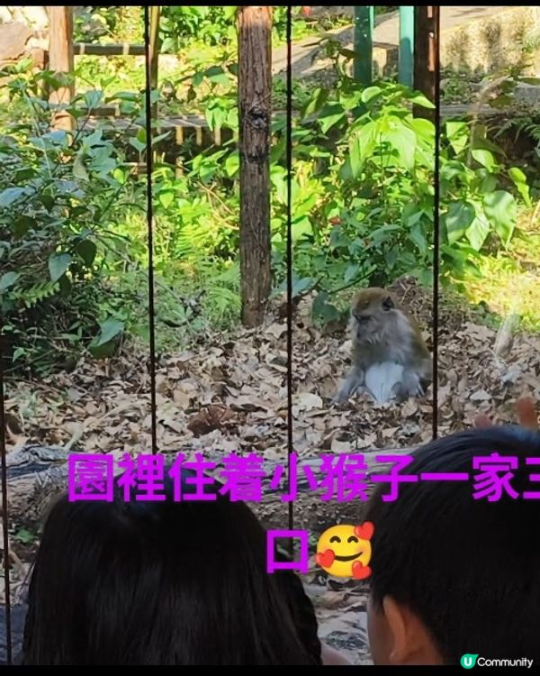 每一隻動物都有牠們的故事---嘉道理農場暨植物園