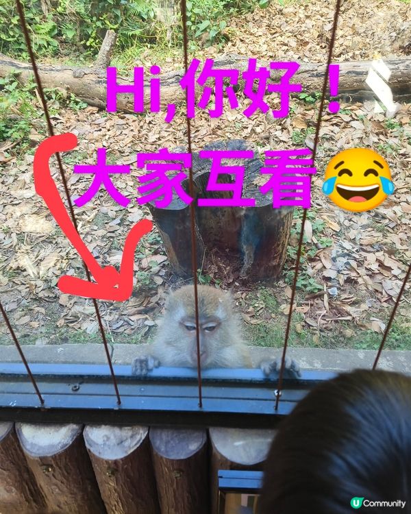 每一隻動物都有牠們的故事---嘉道理農場暨植物園