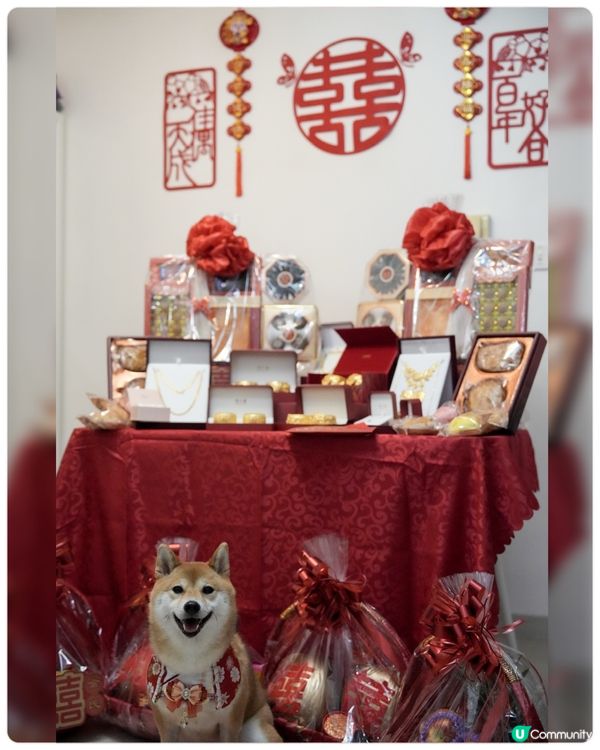 人生大事一定要有狗狗參與❤️