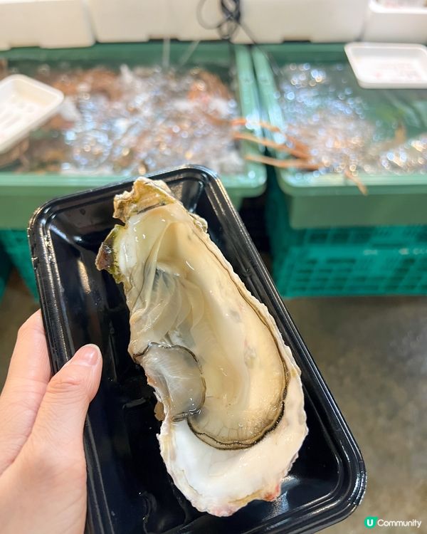 🇯🇵 大阪木津市場超伏生蠔⚠️ 千萬別踩雷🤢