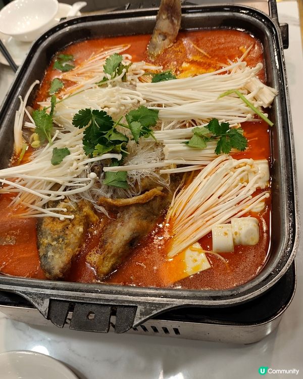 旺角必食🔥楊記麻辣魚館🦀