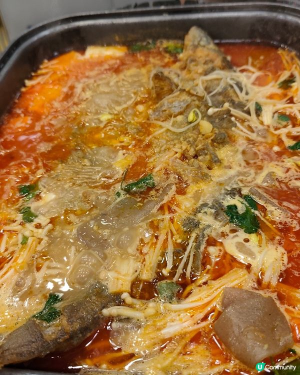 旺角必食🔥楊記麻辣魚館🦀