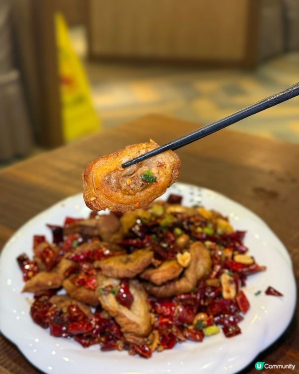 港式大排檔ｘ新派川菜館