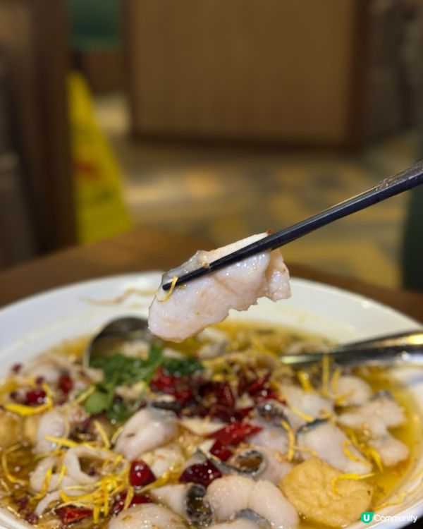 港式大排檔ｘ新派川菜館