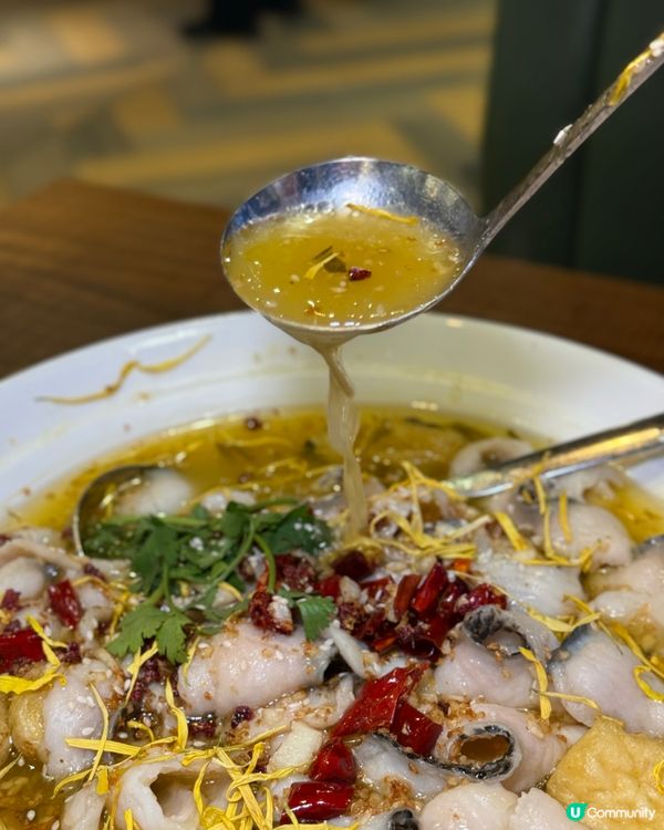 港式大排檔ｘ新派川菜館