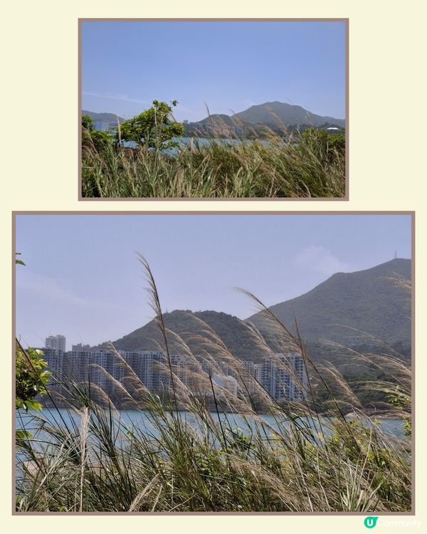 打卡推介 📸 。鯉魚門舊石礦場遺址 😊🤗