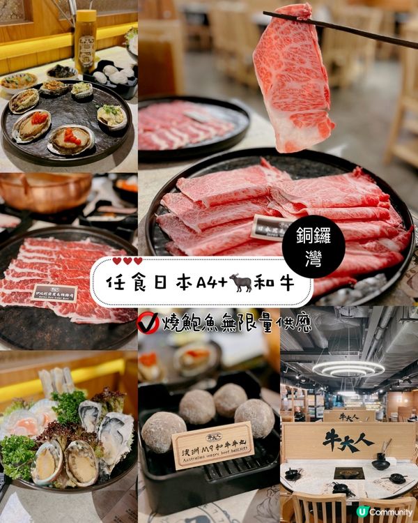 任食日本A4+🐃和牛
