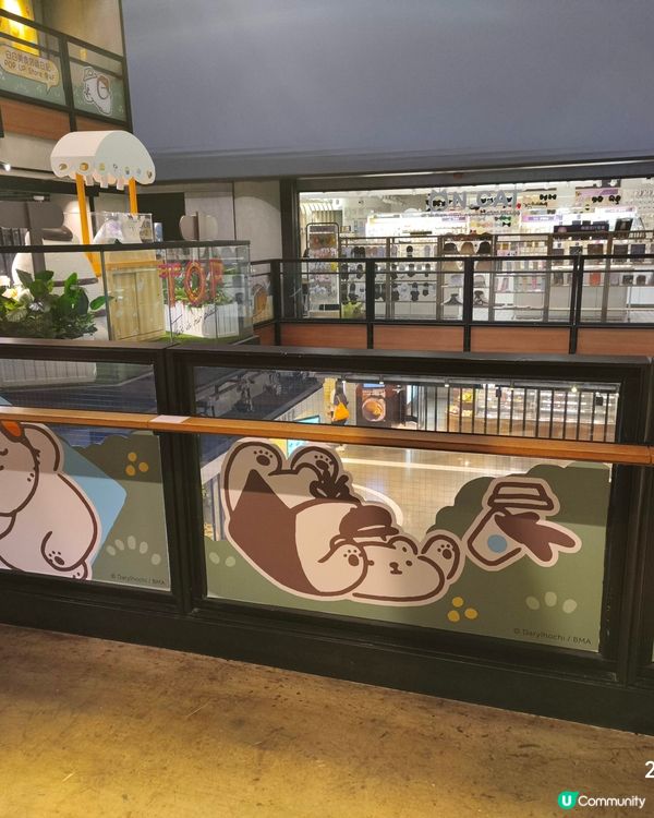 top白白美食郊遊日記