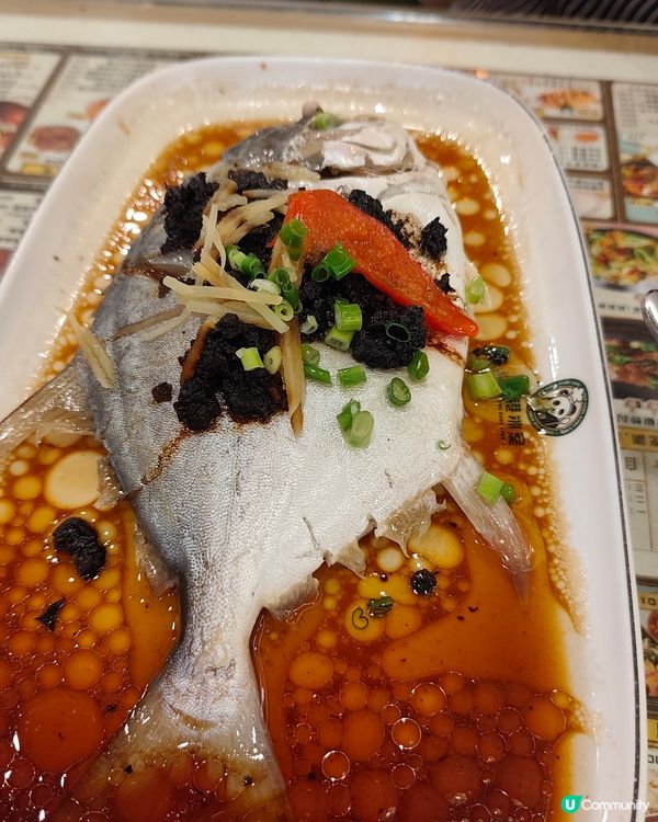 【#葵芳隱世冰室🔥人均$100歎足4餸1飲！芝士拉絲菠蘿包超...