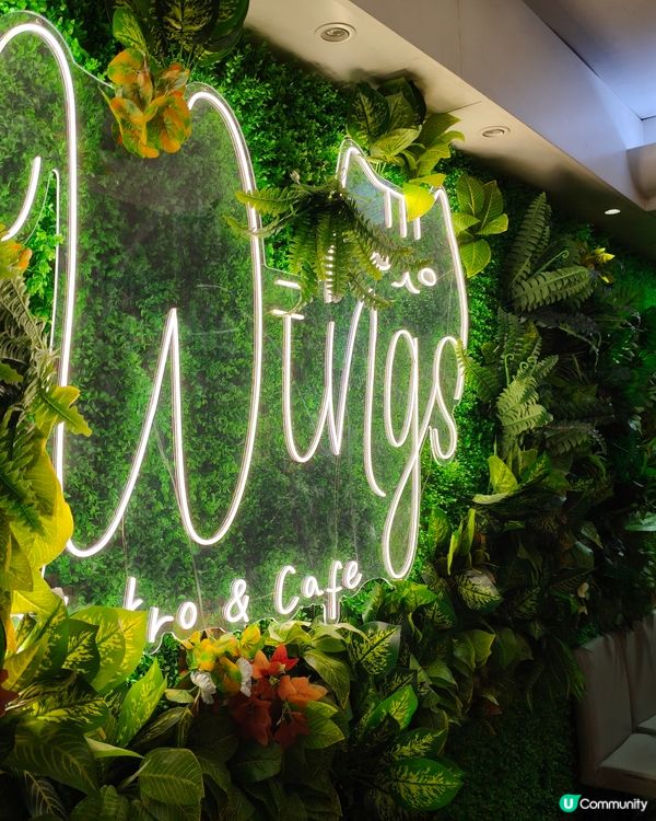 佐敦隱世羊架王👑  
【佐敦隱世】羊架控必試！ 