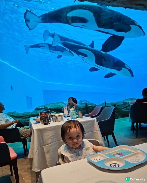 珠海長隆親子遊 👶🏻✈️  
一家大細玩轉室內樂園！