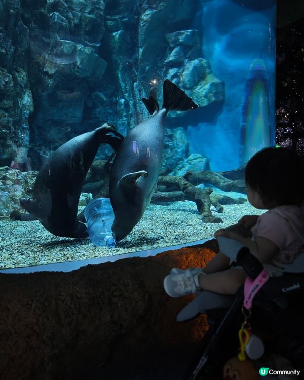 珠海長隆親子遊 👶🏻✈️  
一家大細玩轉室內樂園！