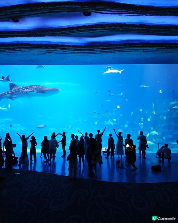 珠海長隆親子遊 👶🏻✈️  
一家大細玩轉室內樂園！