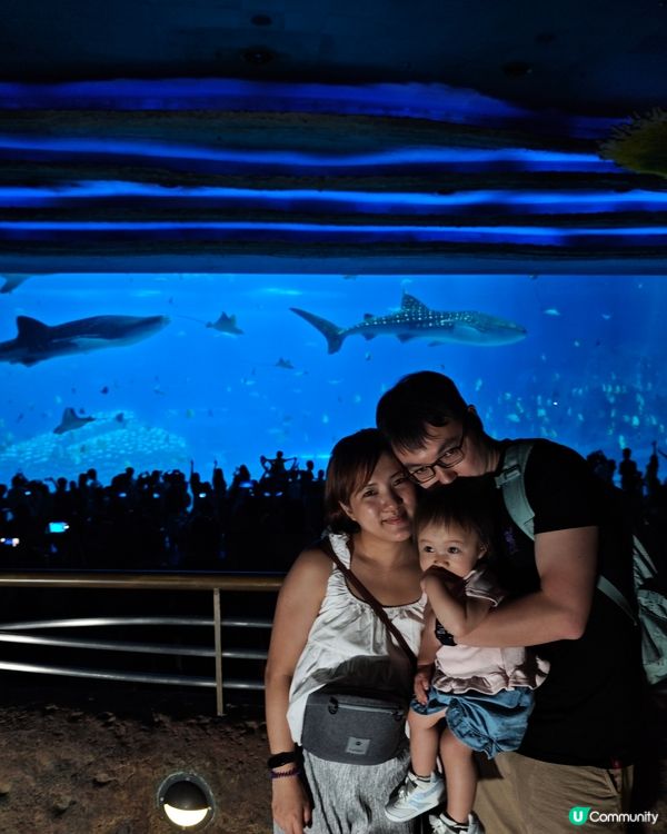 珠海長隆親子遊 👶🏻✈️  
一家大細玩轉室內樂園！