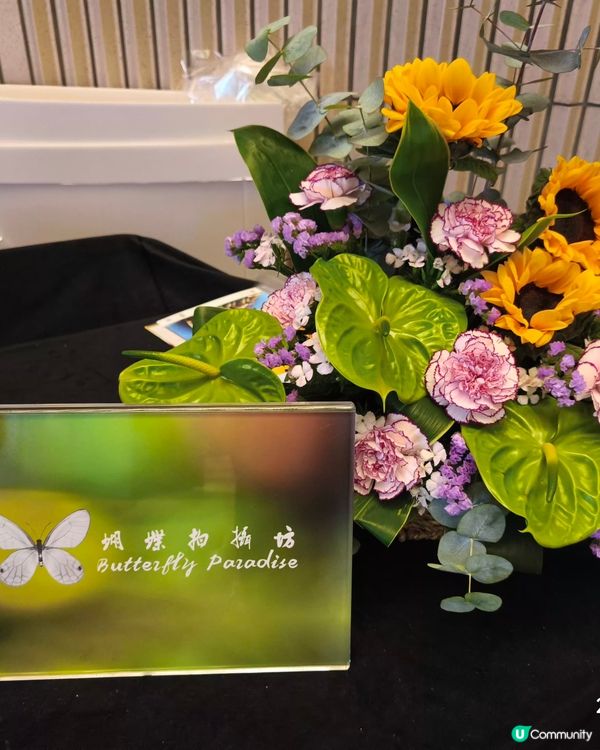 蝴蝶拍攝坊展覽