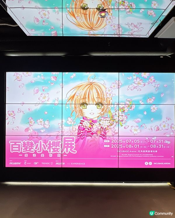 🌸✨百變小櫻✨🌸忠粉必來💨💨