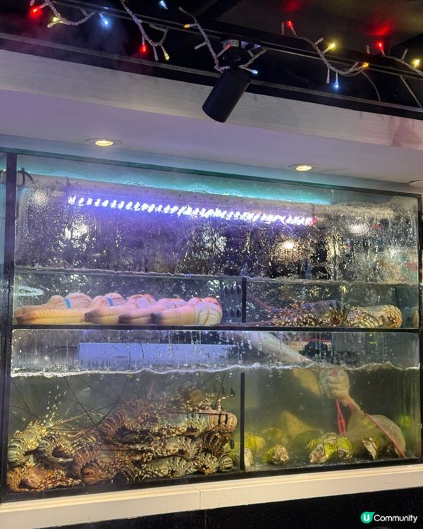 游水活海鮮火鍋放題