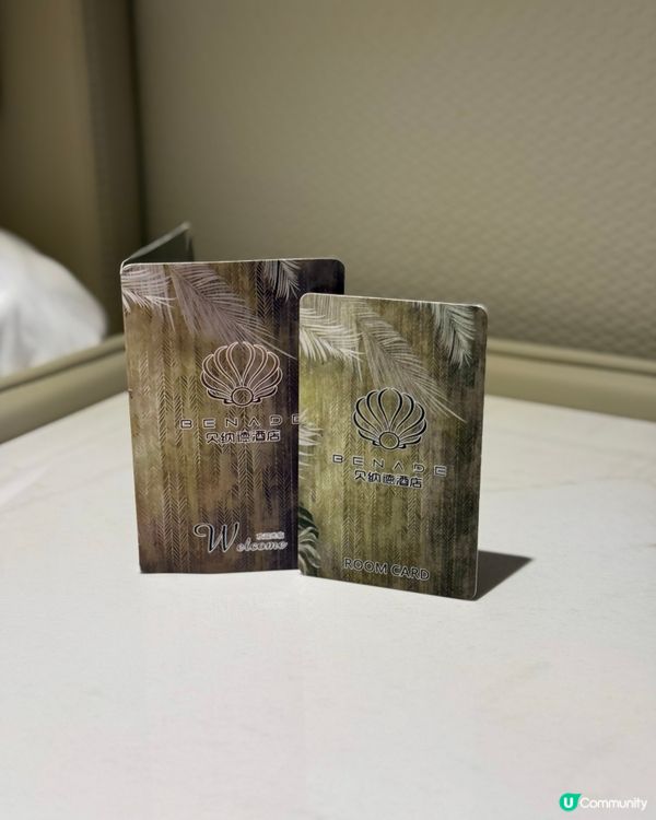 2024年開業．深圳貝納德酒店