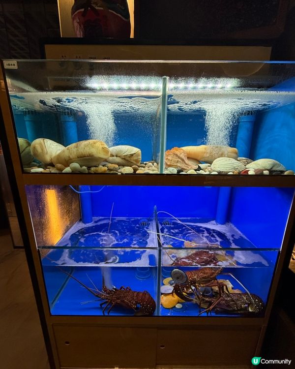 超精緻畫碟高質居酒屋