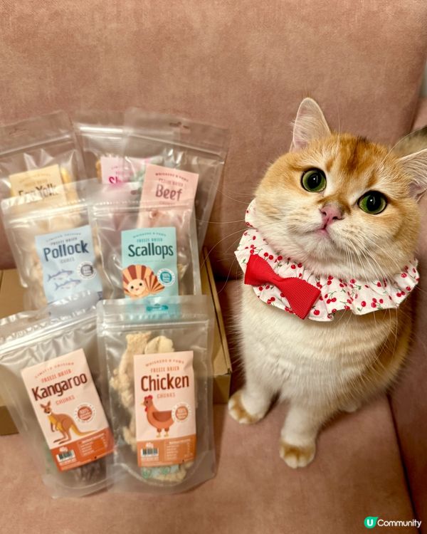 Whiskers N Paws零食套裝~主子食到停唔到口🤤！