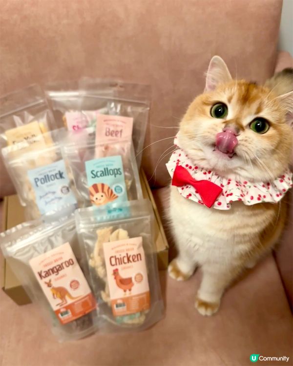 Whiskers N Paws零食套裝~主子食到停唔到口🤤！