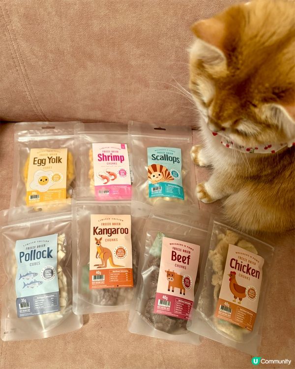 Whiskers N Paws零食套裝~主子食到停唔到口🤤！
