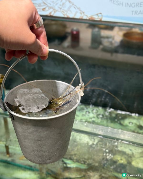 泰式火鍋放題即撈活蝦