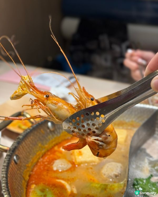 泰式火鍋放題即撈活蝦