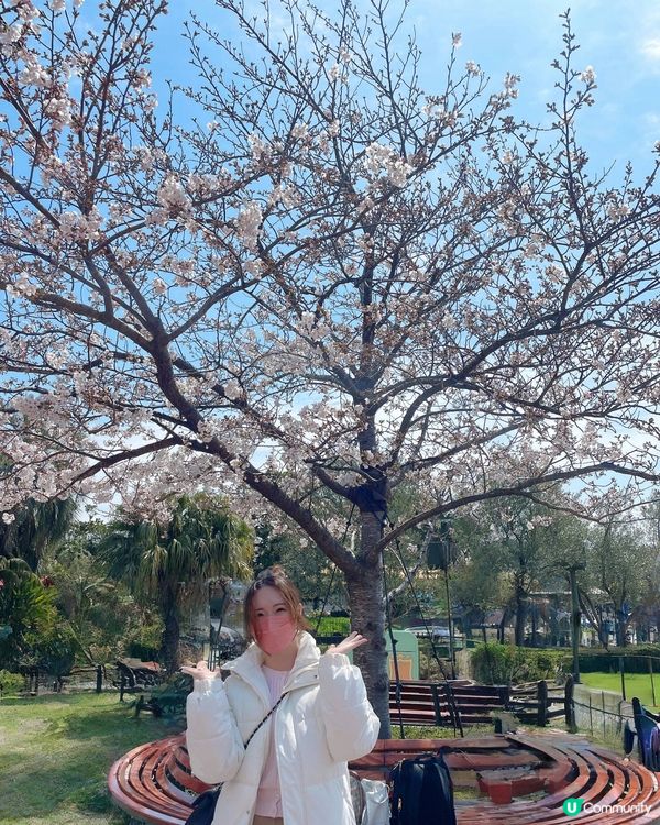 東京迪士尼朝聖之旅！童年回憶返晒嚟🤩