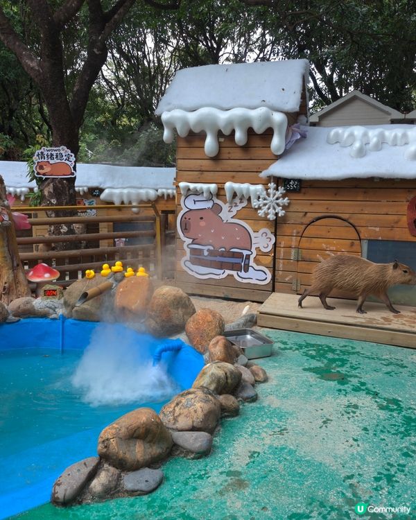 世界之窗入面個動物園