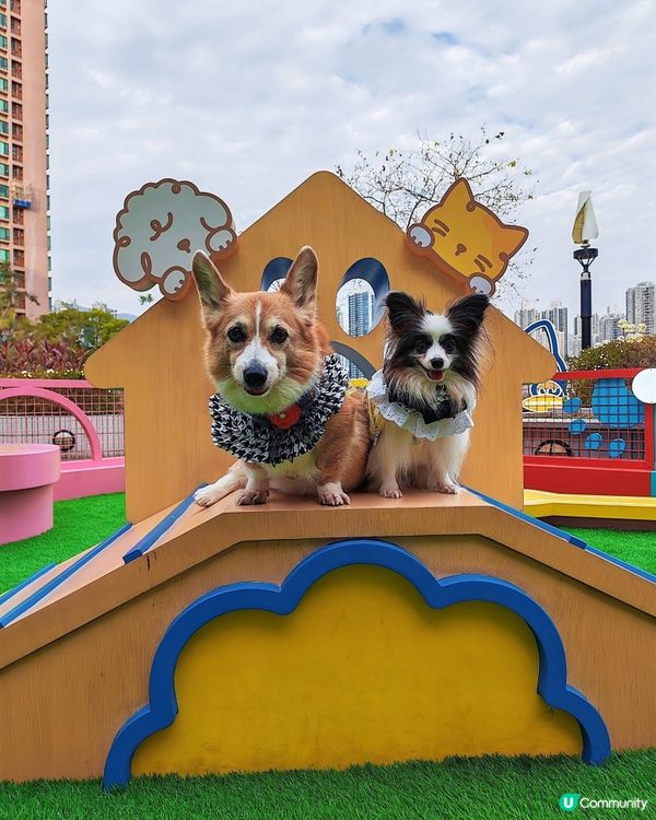 青衣城 青新貓狗樂園🐶🐱🐾