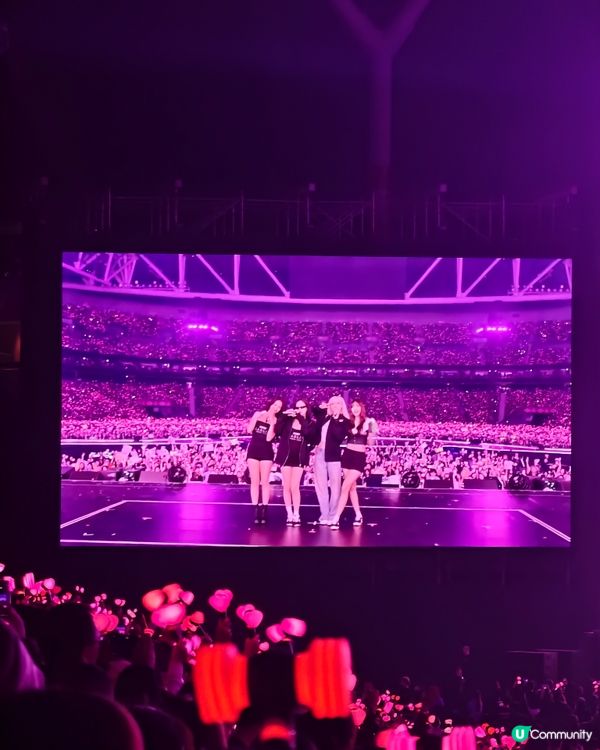 啟德體育園‼️blackpink 看演場會攻略，注意事項