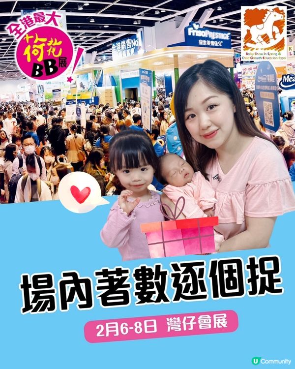 荷花bb展攻略🥰