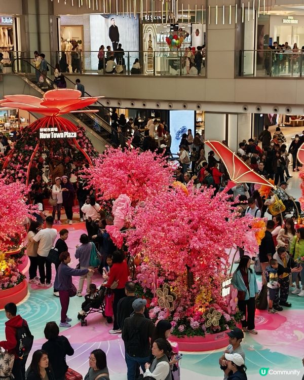 沙田新城市廣場