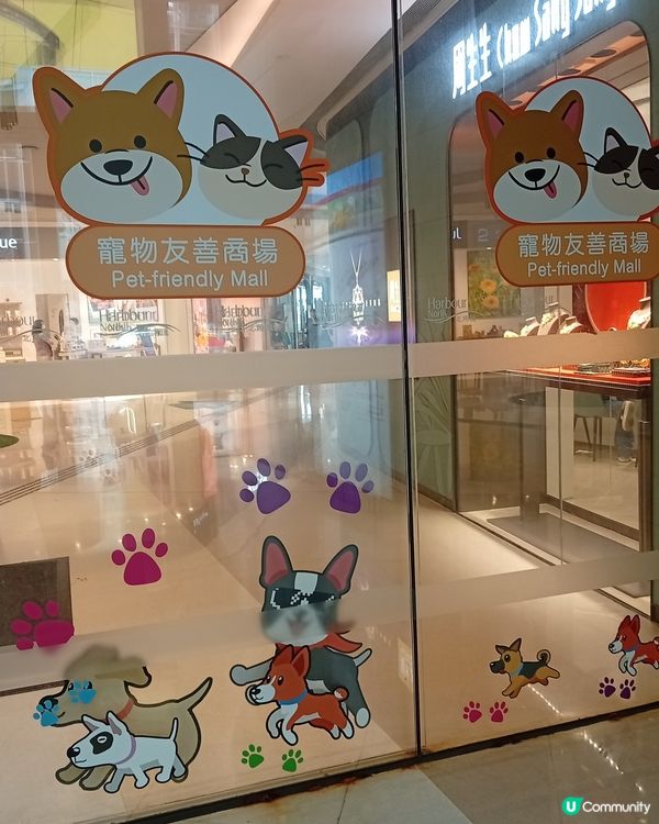 主人與毛孩Shopping天堂-北角匯！🛍️🐶🥰