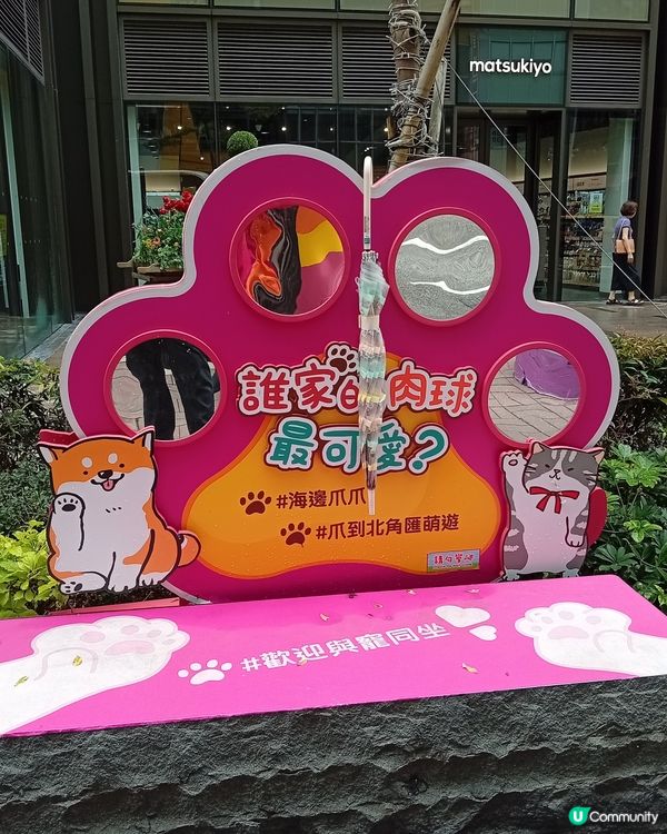 主人與毛孩Shopping天堂-北角匯！🛍️🐶🥰